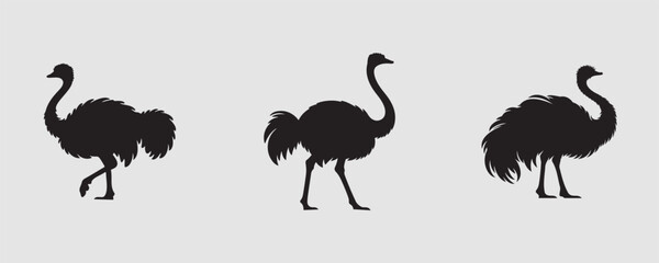 ostrich silhouette bundle vector illustration