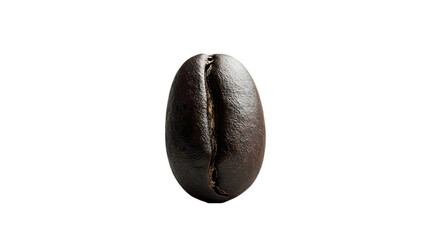 Close-up Photo of a Single Coffee Bean