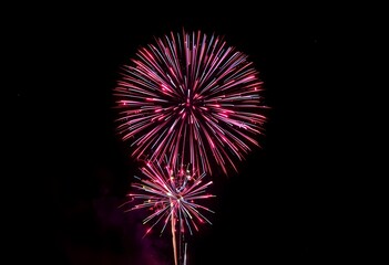 Stunning pink fireworks exploding in the night sky.