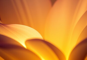 Luminous Petals Close up of flower petals with edge lighting cre