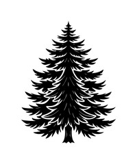 Obraz premium Pine Tree silhouette. Black silhouette of sine tree on white background. illustration Vector