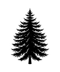Pine Tree silhouette. Black silhouette of sine tree on white background. illustration  Vector