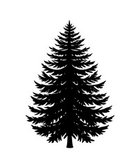 Pine Tree silhouette. Black silhouette of sine tree on white background. illustration  Vector