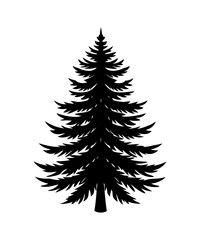 Pine Tree silhouette. Black silhouette of sine tree on white background. illustration  Vector