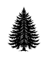 Pine Tree silhouette. Black silhouette of sine tree on white background. illustration  Vector