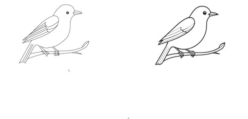 BIRDS SET 