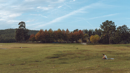 Autumn Landscape, Row of Trees, Beautiful, Sunset,  Praia Senhora da Ribeira, Portugal