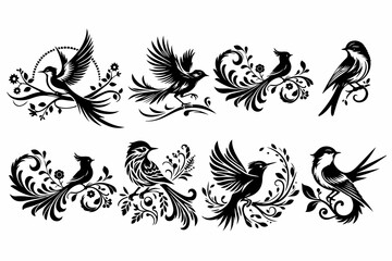 set of beautiful birds