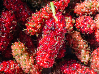 Close-up of fresh red mulberry fruit