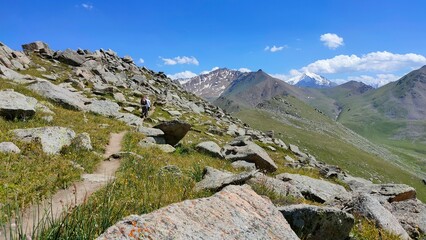 A summer mountain landscape with alpine meadows and vibrant flowers