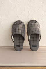 Topview of gray home slippers isolated on white background.