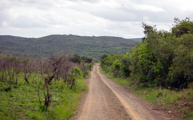 Hluhluwe park, African landscape, dirt road, green grass and bushes, South Africa