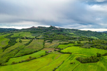 The Cypress tree with farmland in Tuscany Region,Italy