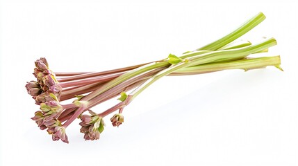 Naklejka premium Rhubarb stalks bundled and suspended mid-air, isolated on a clean white background with a slight shadow