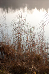 misty morning on the river