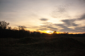 sunset in the field