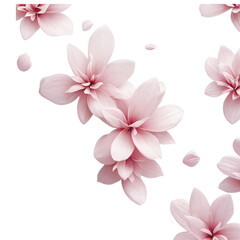 Fototapeta premium Delicate pink flowers float on a black background, creating a dreamy and romantic atmosphere.