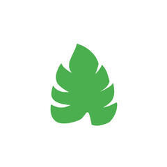 green monstera leaf vector