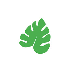 green monstera leaf vector