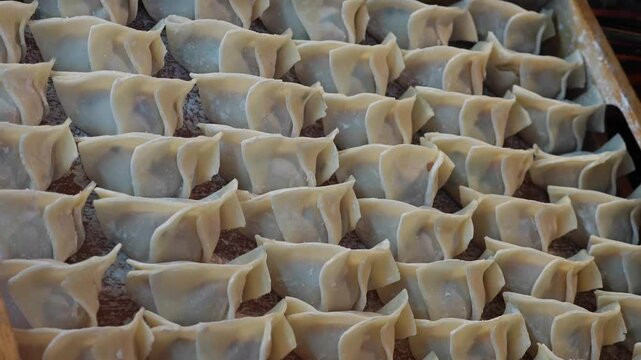  dumplings 