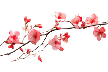 Naklejka premium Tree branch red flower Photo on transparent background