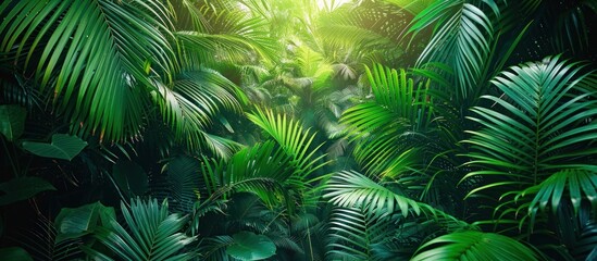 Lush Greenery in a Tropical Forest