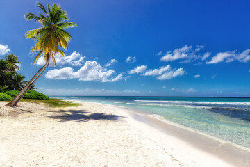 Obraz premium Strandszene am sonnenbeschienen Strand der Insel Saona in der Dominikanischen Republik. Kleine Schäfchenwolken am azurblauen Himmel, feiner weißer Sandstrand