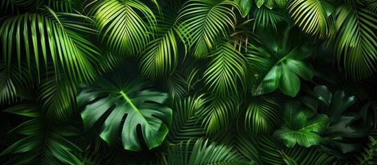 Tropical Leaf Collage: Lush Green Texture