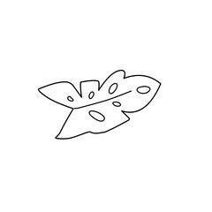 monstera leaf outline