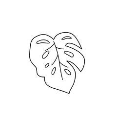 monstera leaf outline
