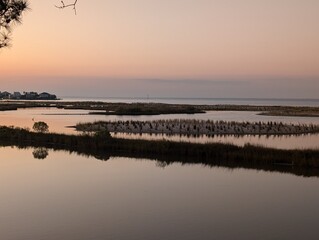 sunset on coastal dunes Dauphin Island AL