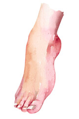 Fototapeta premium Male bare leg sensual clipart. Human foot Watercolor hand drawn illustration, isolated on white