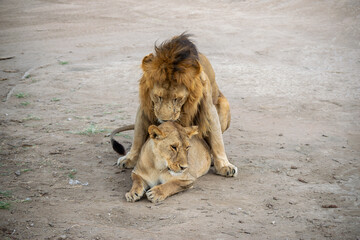 Simiyu is an administrative region of Tanzania. It was created in March 2012, being until then part of the Shinyanga Region. Its capital is the city of Bariadi.