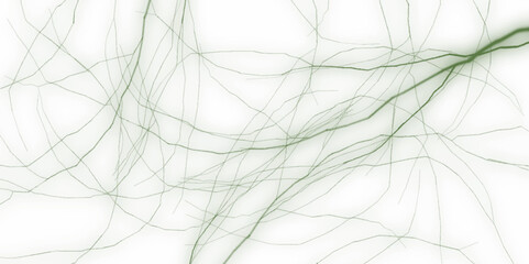 white background from marble stone texture. Detailed view of a white, green marble texture, showcasing intricate patterns and unique veins on the surface of the material. 