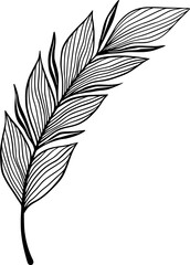 Black and White Feather Vector Single Element in Line Art Decorative Style for Wall Decal or Prints