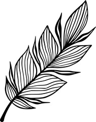 Black and White Feather Vector Single Element in Line Art Decorative Style for Wall Decal or Prints