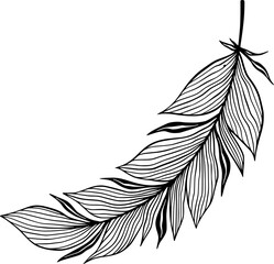 Black and White Feather Vector Single Element in Line Art Decorative Style for Wall Decal or Prints