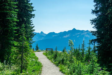 Bench overlooking a viewpoint