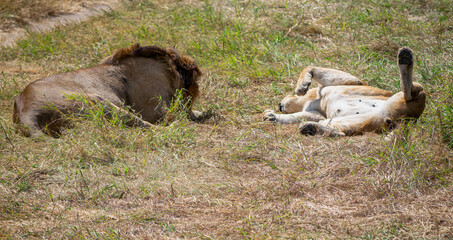 Simiyu is an administrative region of Tanzania. It was created in March 2012, being until then part of the Shinyanga Region. Its capital is the city of Bariadi.