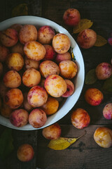 Organically grown yellow and pink plums on a dark table, shot from above