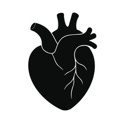 Human Heart Silhouette Vector Illustration Art for Anatomy and Design