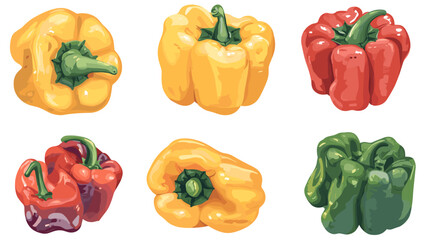 Vector set of various bell peppers Cartoon red green yellow orange sweet paprika fresh organic vegetable for cooking and healthy eating Vector colorful food vegetable illustration on white background