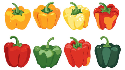Vector set of various bell peppers Cartoon red green yellow orange sweet paprika fresh organic vegetable for cooking and healthy eating Vector colorful food vegetable illustration on white background