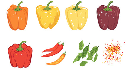 Vector set of various bell peppers Cartoon red green yellow orange sweet paprika fresh organic vegetable for cooking and healthy eating Vector colorful food vegetable illustration on white background