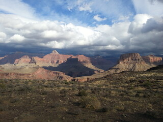 view of Grand Canyon from mule
