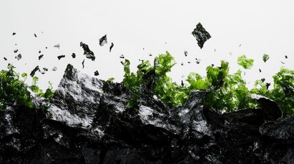 Crumpled nori pieces pop against a white background showcasing vibrant colors and textures that spark creativity