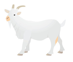White goat isolated. vector illustration