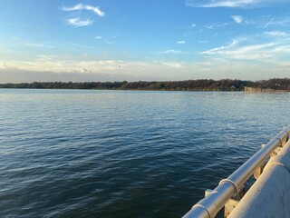 A view of the evening sky between the chalen trees and the sea.
