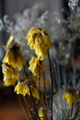 dead nature of yellow flower decoration