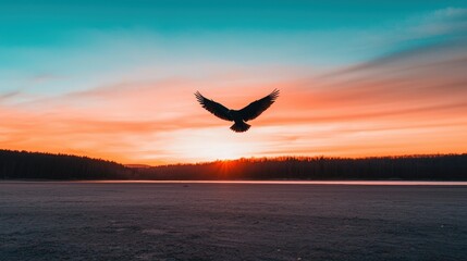 Fototapeta premium Majestic Bird Silhouette at Sunset Over Lake and Forest